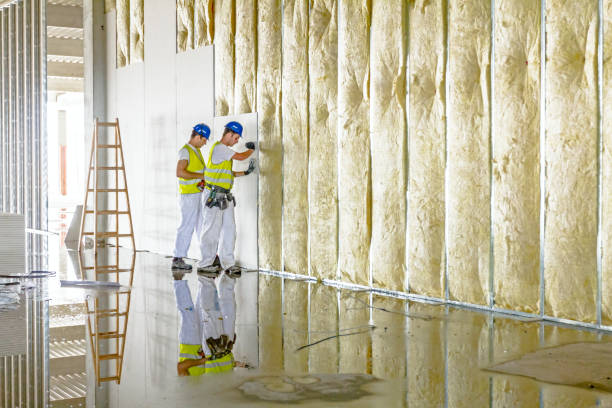 Best Residential Insulation in Baden, PA